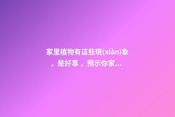 家里植物有這些現(xiàn)象，是好事，預示你家要發(fā)大財了！